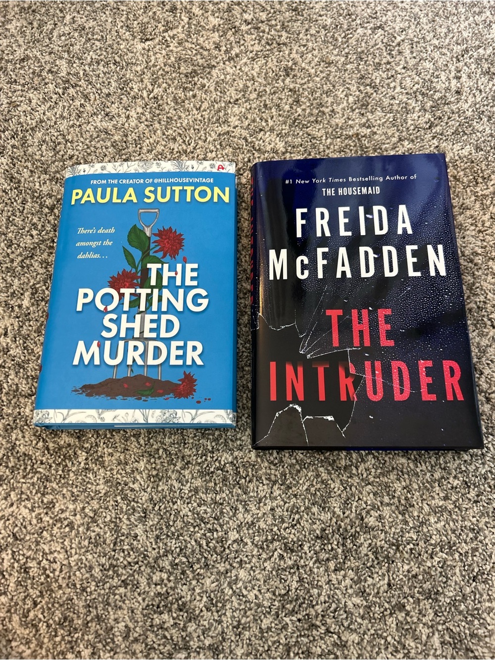 Set of 2 hardcover mystery/thriller novels, like new